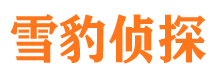 解放侦探公司